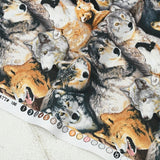 Real Wild Wolves American Wolf! 1 meter of Printed Cotton Plain Fabric, Animals,  Wolf 2024