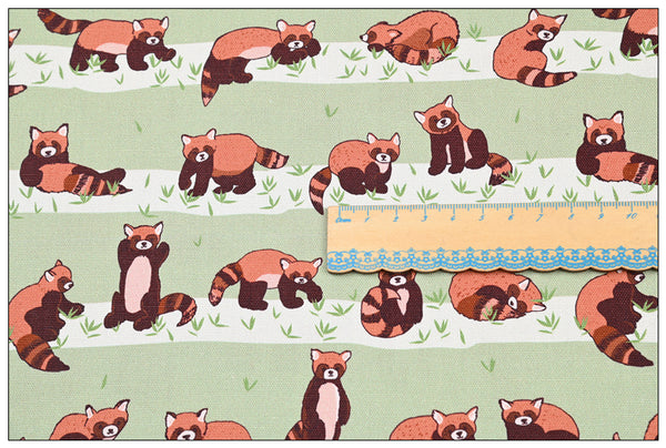 Racoons stripes! 1 Yard High Quality Stiff Cotton Toile Fabric, Fabric by Yard, Yardage Cotton Canvas Fabrics for Bags
