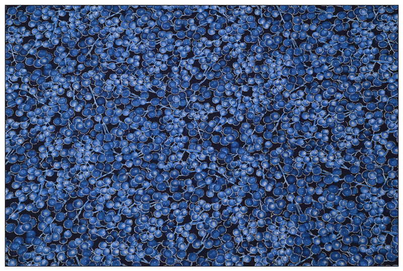 Blueberries! 1 Yard Medium Weight Plain Cotton Fabric, Fabric by Yard, Yardage Cotton Fabrics for  Style Garments, Bags