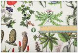 Botany Plants Book Vegetables! 1 Yard Quality Stiff Cotton Toile Fabric, Fabric by Yard, Yardage Cotton Canvas Fabrics for Bags