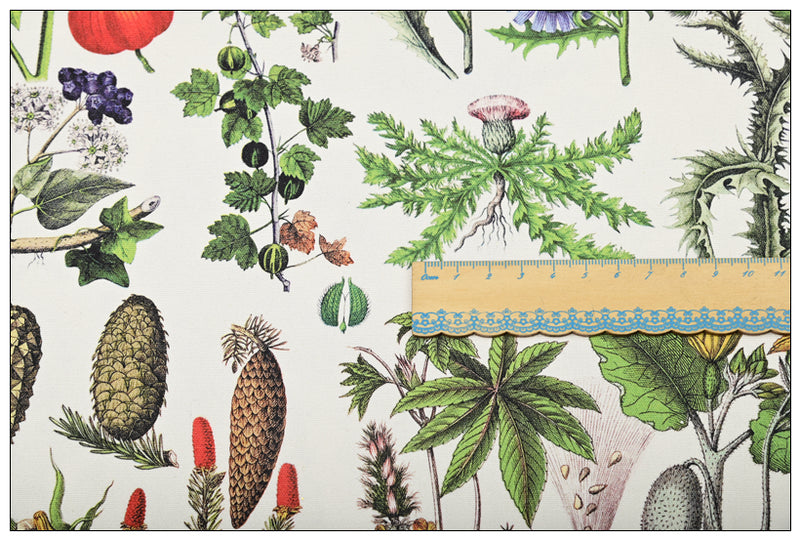 Botany Plants Book Vegetables! 1 Yard Cotton Plain Fabric, Fabric by Yard, Yardage Cotton Canvas Fabrics for Bags