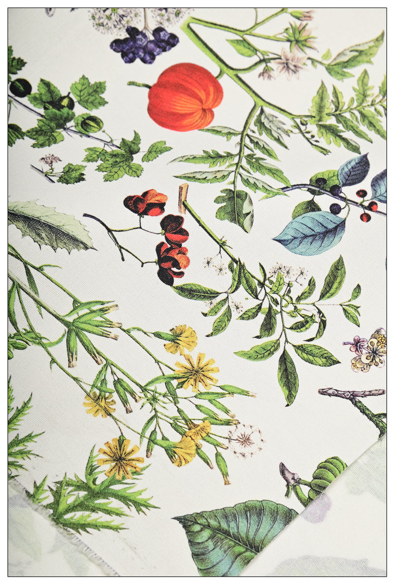 Botany Plants Book Vegetables! 1 Yard Cotton Plain Fabric, Fabric by Yard, Yardage Cotton Canvas Fabrics for Bags