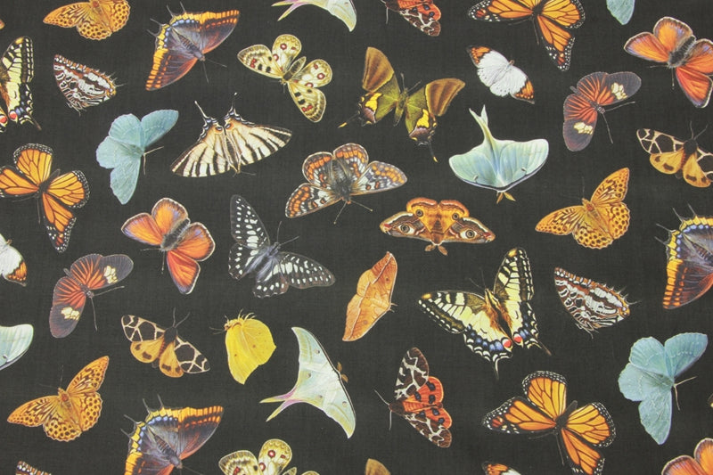 Butterfly Species Book 4 prints! 1 Yard Medium Thickness Plain Cotton Fabric, Fabric by Yard, Yardage Cotton Fabrics for Clothes Crafts