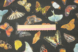 Butterfly Species Book 4 prints! 1 Yard Medium Thickness Plain Cotton Fabric, Fabric by Yard, Yardage Cotton Fabrics for Clothes Crafts