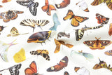 Butterfly Species Book 4 prints! 1 Yard Medium Thickness Plain Cotton Fabric, Fabric by Yard, Yardage Cotton Fabrics for Clothes Crafts