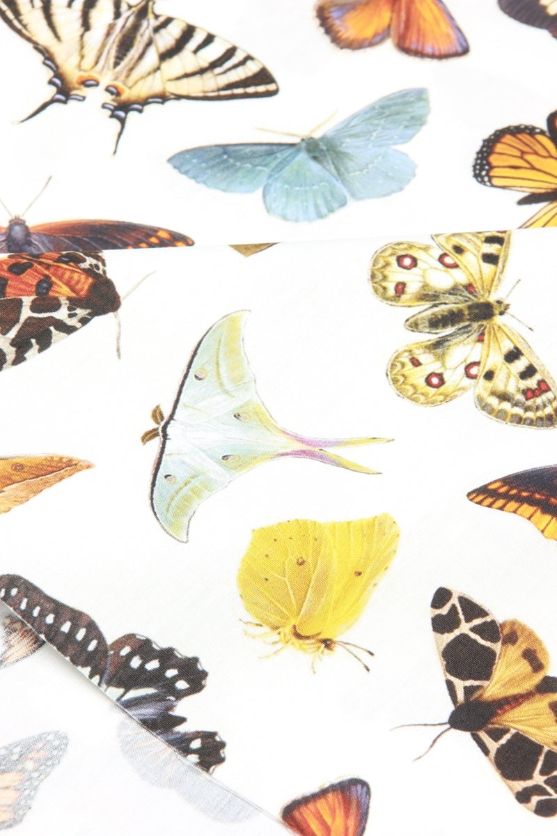 Butterfly Species Book 4 prints! 1 Yard Medium Thickness Plain Cotton Fabric, Fabric by Yard, Yardage Cotton Fabrics for Clothes Crafts